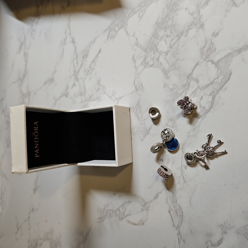 Pandora charms